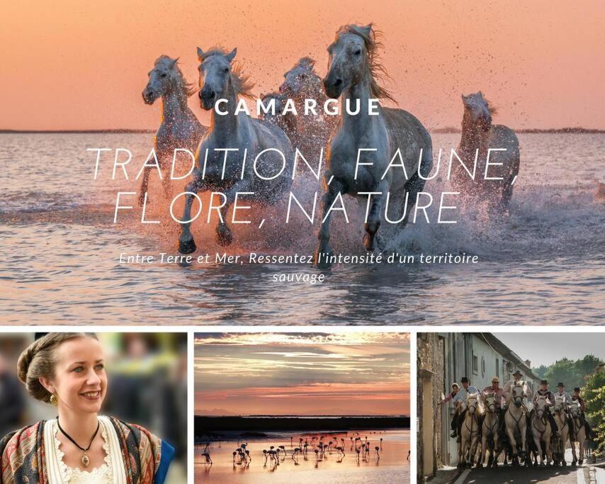 Les Jardins Du Couchant * Proche Mer * Climatisation * Parking Prive La Grande-Motte Exterior foto
